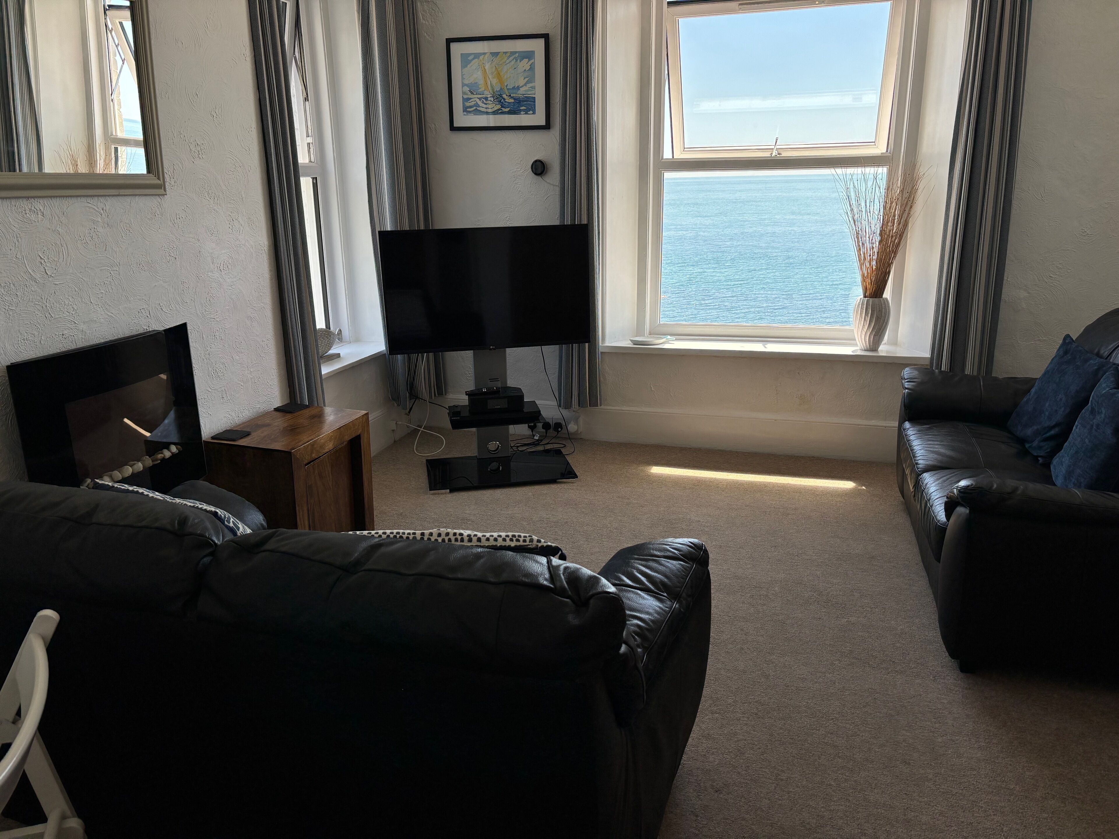 Smart TV, DVD player, books, video library