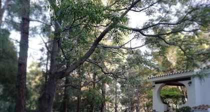 Unabhängige Villa mit exklusivem Grundstück Garten