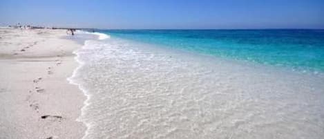 Una spiaggia nelle vicinanze