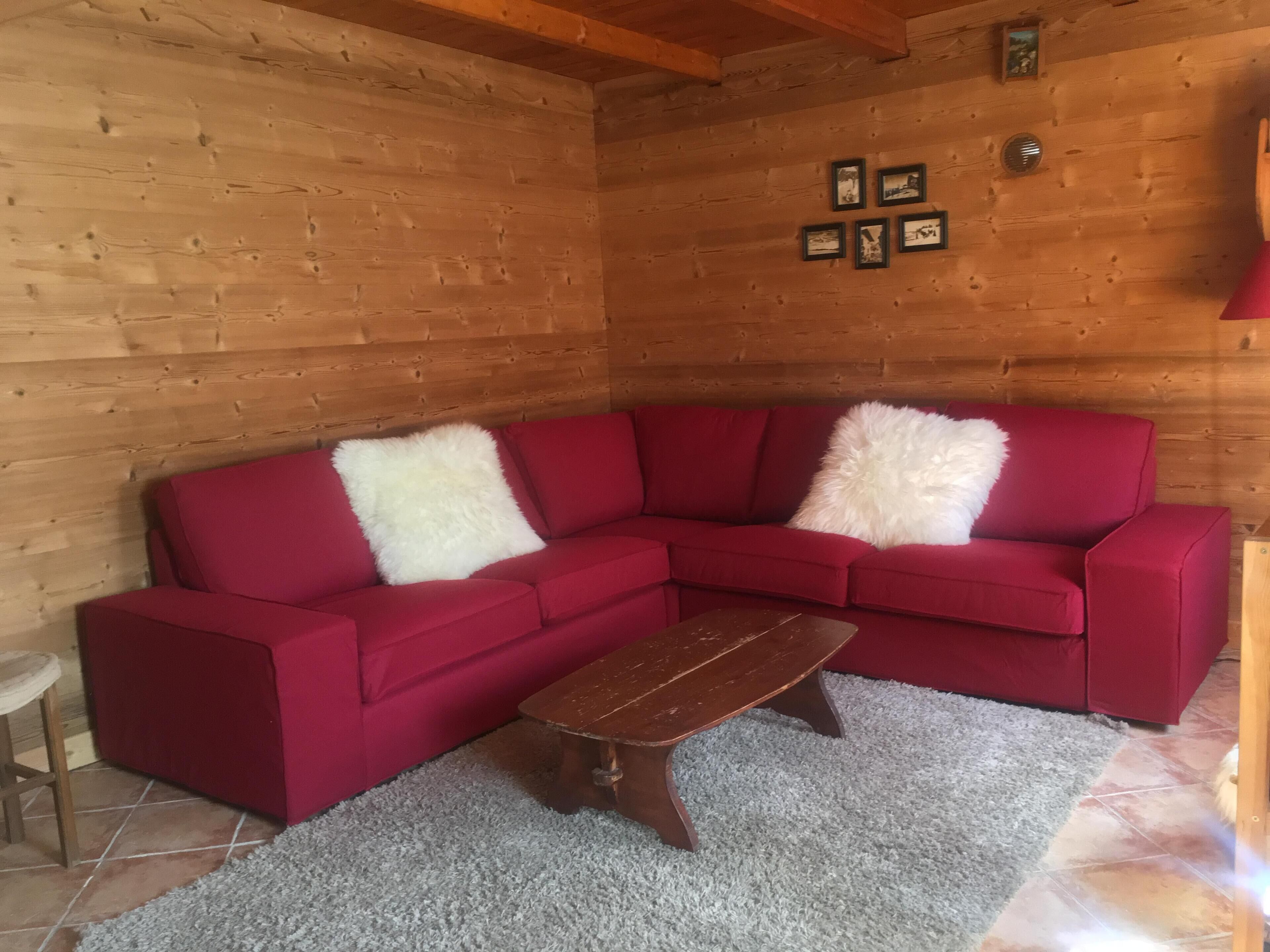 TV, DVD player, books, video library