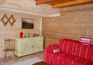 TV, DVD player, books, video library