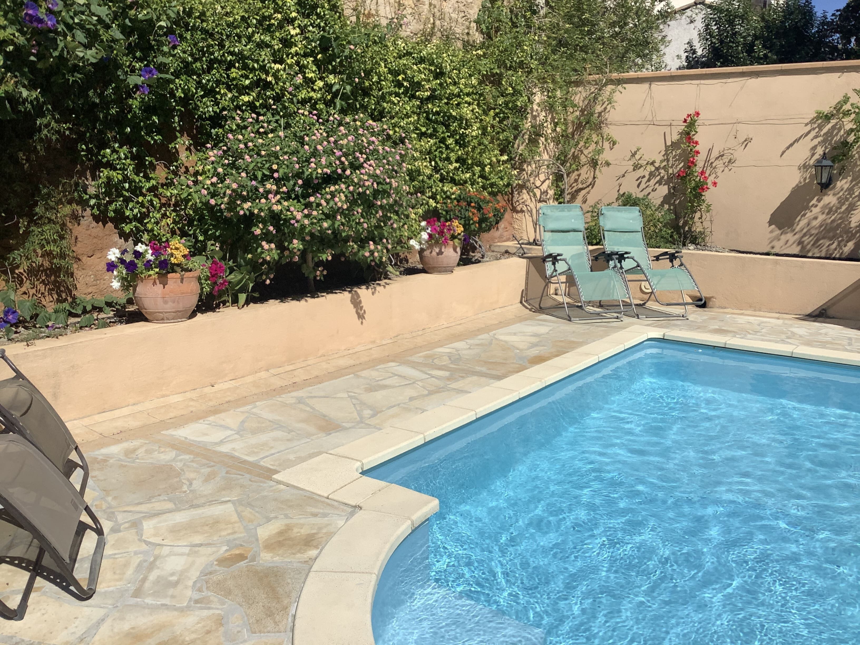 Una piscina con solárium de piedra, rodeada de plantas en macetas y dos sillas de descanso.