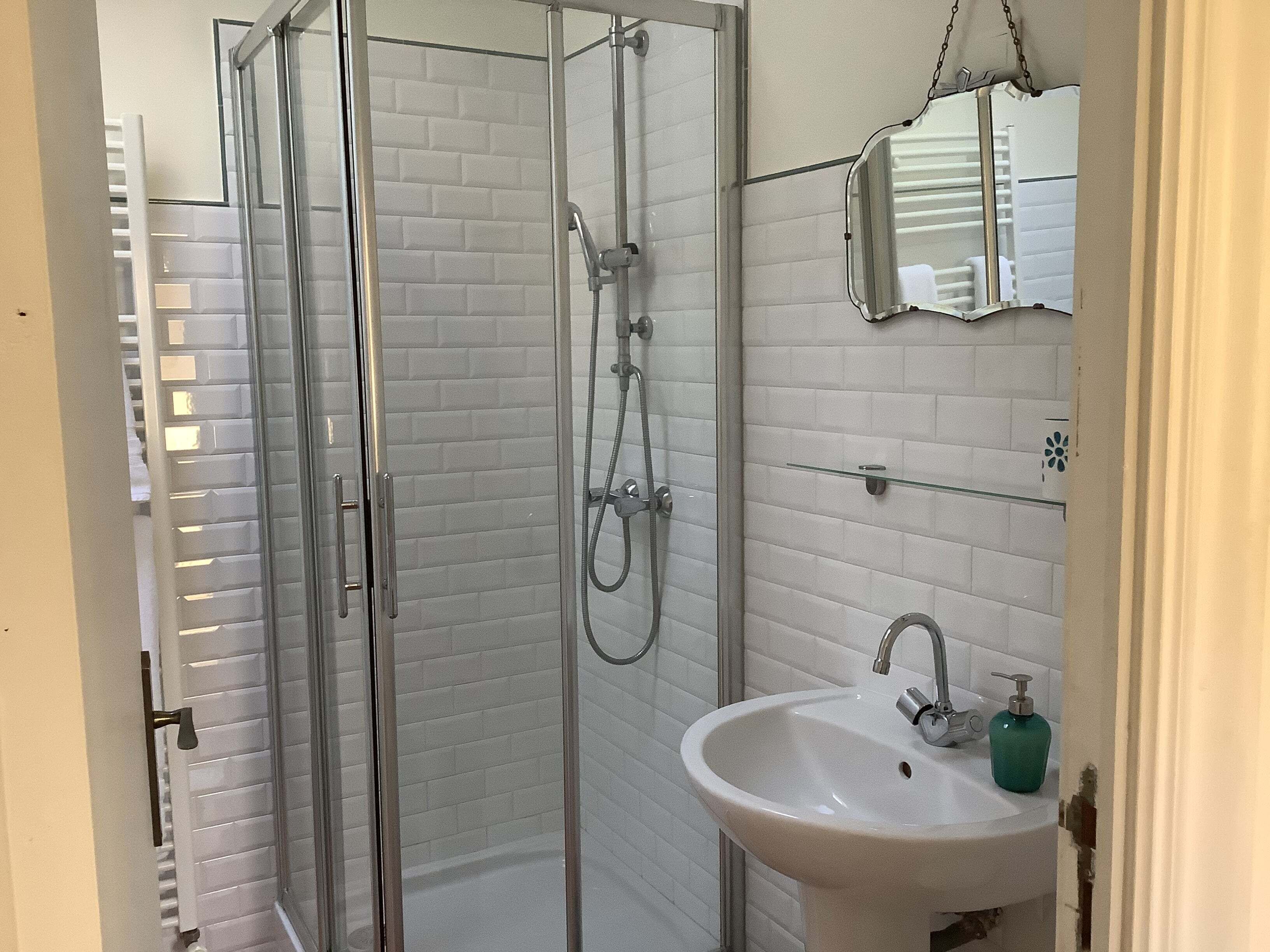 A bathroom with a glass-enclosed shower, a white sink, and a mirror.