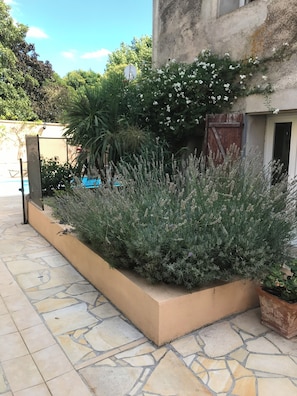 Property grounds - Lovely house, garden with pool in tranquil village near coast and countryside (Raissac-D'aude)