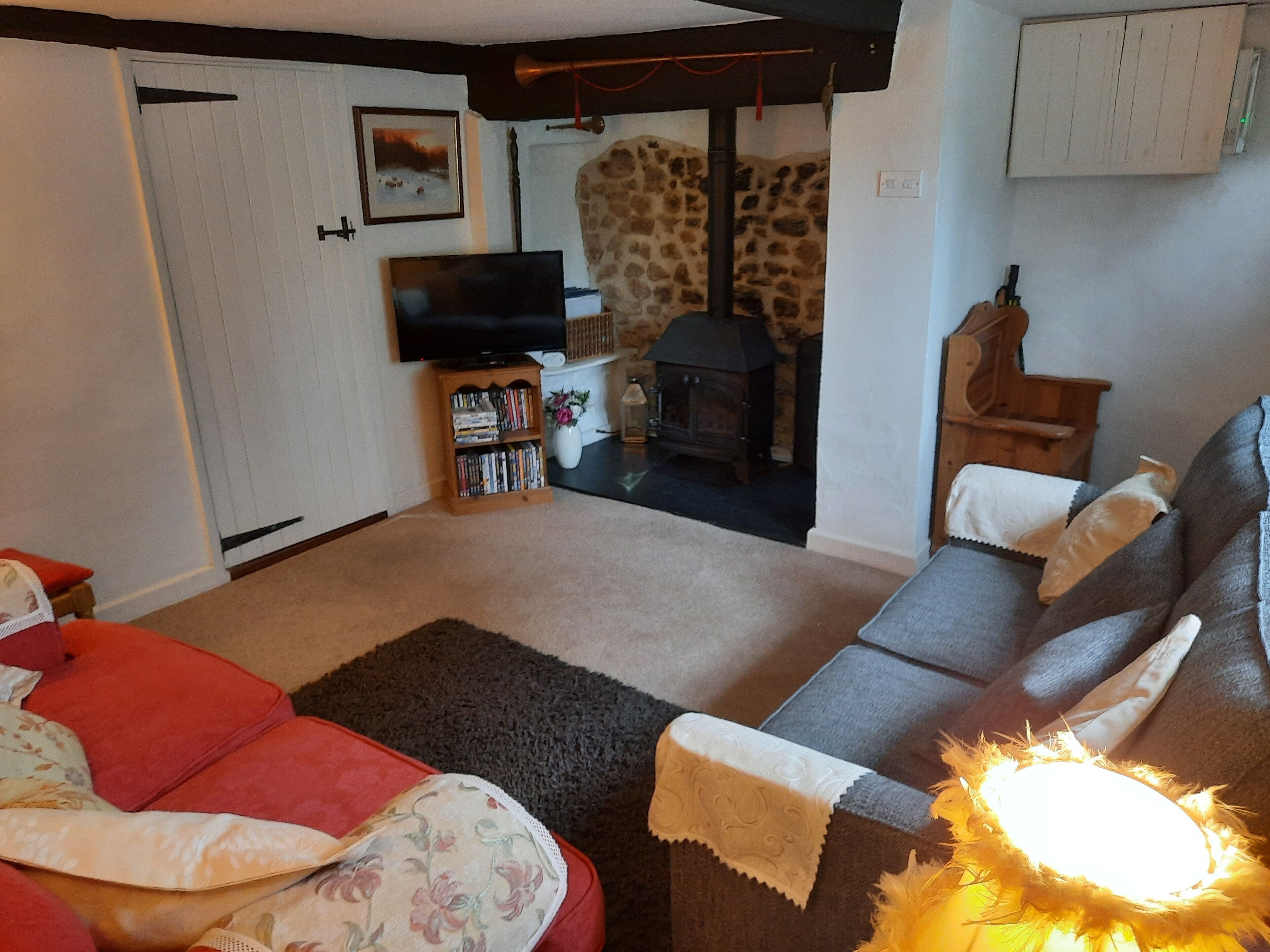 Smart TV, fireplace, DVD player, books