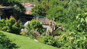 Un paisaje exuberante y verde con una casa rodeada de bosque denso y colinas.