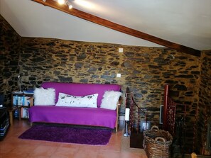 Smart TV, DVD player, books