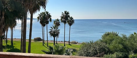 A view from a balcony overlooking a beach with palm trees and the ocean.