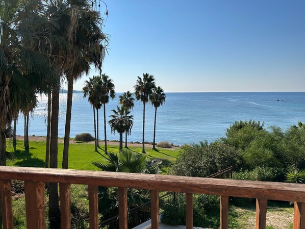 Blick vom Balkon auf einen Strand mit Palmen und dem Meer.