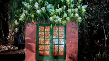 Detalle del exterior