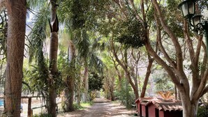 A pathway flanked by trees and a red-roofed structure, likely a pavilion or shelter, in a natural setting. - Country house with heated swimming pool for exclusive use between the sea and the mountains.  (Lomo de San Pedro)