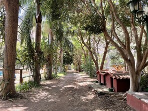 Overnatningsstedets område