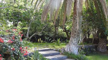 Jardines del alojamiento