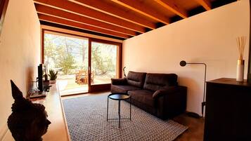 Televisión, chimenea, reproductor de DVD y libros