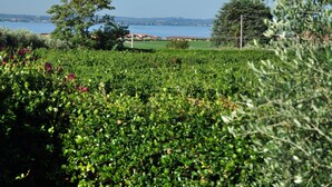 A garden with a variety of plants and trees, a clear blue sky, and a distant view of a body of water. - Villetta Gelsomino, in Bardolino Calmasino villa in residence with swimming pools. (Calmasino)