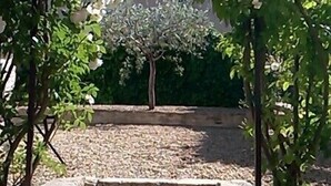 Una escalera de piedra que conduce a un árbol blanco con flores en un jardín.