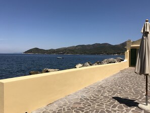 Property grounds - House / Villa - Elba (Portoferraio)