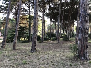 Property grounds - House / Villa - Elba (Portoferraio)