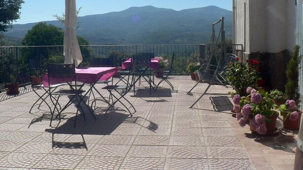 Een terras buiten met tafels, stoelen, een witte parasol en potplanten.
