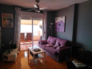 Smart TV, DVD player, books, video library