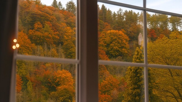 A window with a view of a forested hillside.