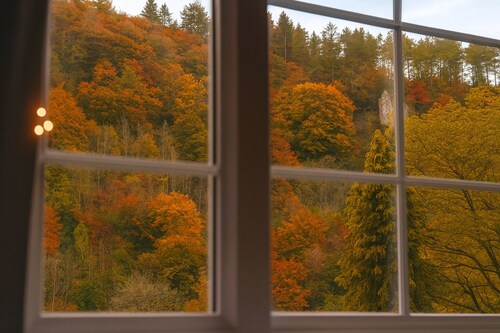 Picturesque Cottage In Symonds Yat - Dogs stay free + no charge for fire wood!
