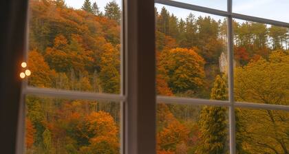 Picturesque Cottage In Symonds Yat - Dogs stay free + no charge for fire wood!