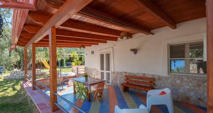 B & B Yellow wolfbane