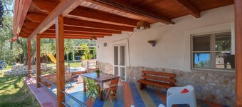 B&B Tordilupo gialla