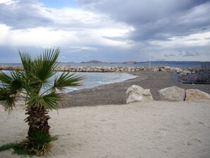 A beach with a palm tree, rocky shoreline, and a jetty.