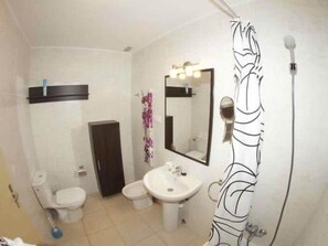 Hair dryer