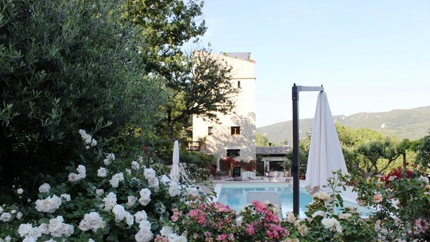 Une piscine entourée d’une végétation luxuriante et de rosiers blancs, avec un bâtiment en arrière-plan.