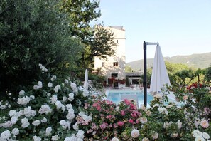A pool surrounded by lush greenery and white roses, with a building in the background. - Gorgeous loft with high ceilings, wooden interiors and panoramic terrace, pool (Spoleto)
