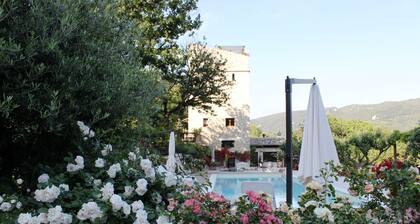 Gorgeous loft with high ceilings, wooden interiors and panoramic terrace, pool