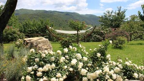 Un jardin avec des rosiers blancs, un hamac et une vue sur des collines verdoyantes.