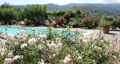 Gorgeous loft with high ceilings, wooden interiors and panoramic terrace, pool