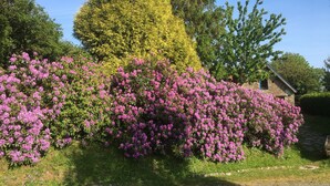 A garden with a variety of trees and flowering shrubs. - House / Villa - BERIGNY (Bérigny)