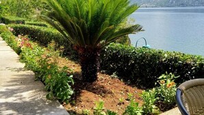 A garden with a palm tree, various plants, and a chair by a lake with mountains in the background. - A unit, One bedroom, stunning views, waterfront, free secured parking (Lipci)