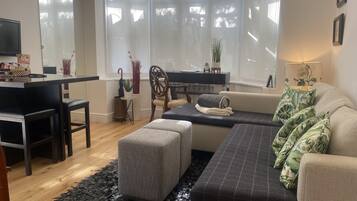 TV, DVD player, books