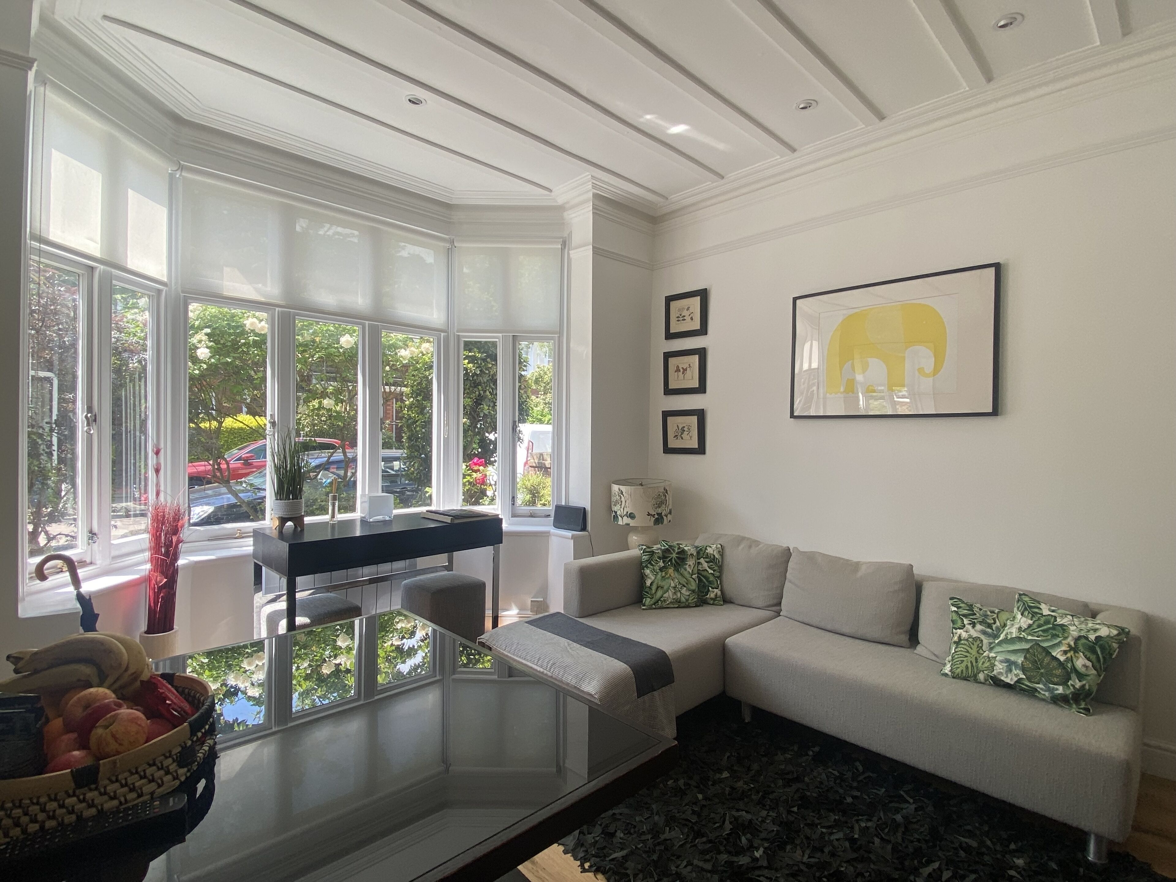 TV, DVD player, books