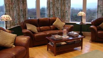 Smart TV, fireplace, DVD player, books