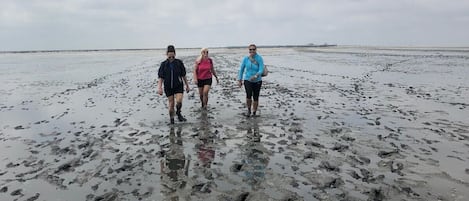 Tre personer går på en mudret strand under en overskyet himmel.