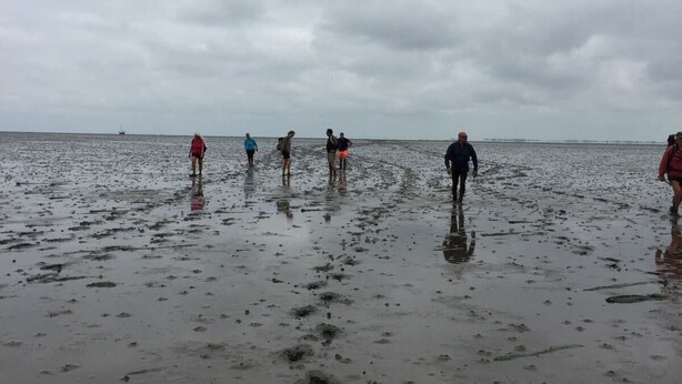 Un grupo de personas caminando sobre una playa mojada bajo un cielo nublado.