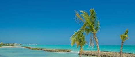 Am Strand