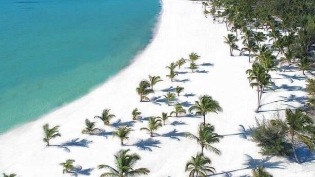 A beach with white sand and palm trees. - INCREDIBLE WATER FRONT APARTMENT WITH AMAZING VIEW (CAP CANA)