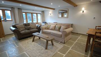 TV, fireplace, DVD player, books