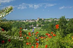 Property grounds - Spacious farmhouse with private heated pool close to Collonges la Rouge (Meyssac)
