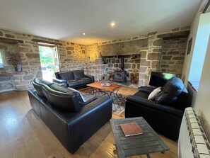 Smart TV, fireplace, DVD player, books