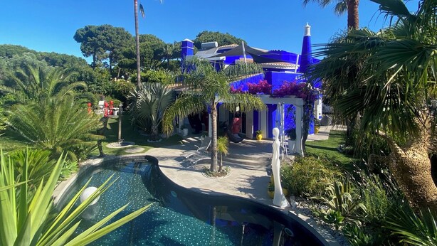 A pool surrounded by tropical plants and a blue building with a white roof.