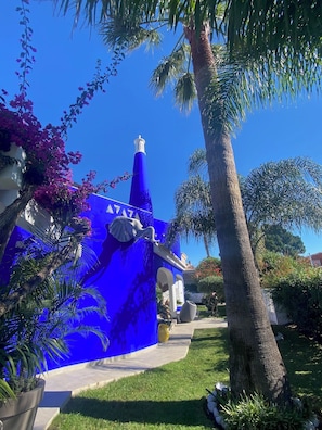 Ein blaues Gebäude mit einer weißen Kuppel, umgeben von Palmen und violetten Blumen.